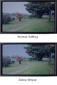 This example shows a viewfinder with zebras on and off