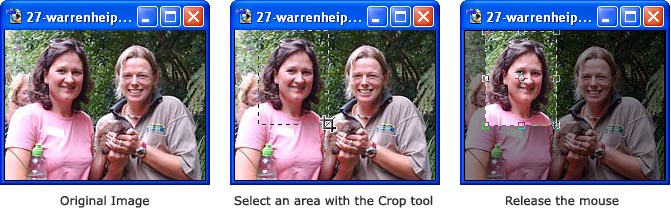 crop-tool-example.jpg