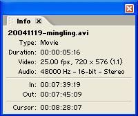 Premiere Info Window