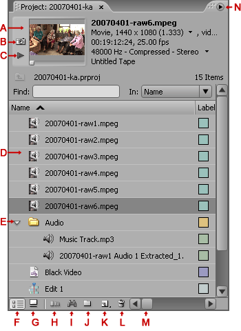 Premiere Pro project panel