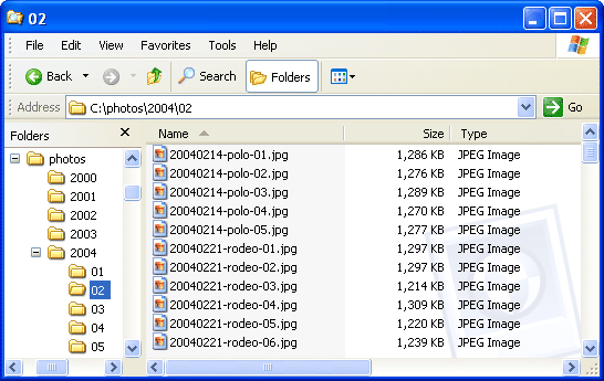 Batch Renamed Files