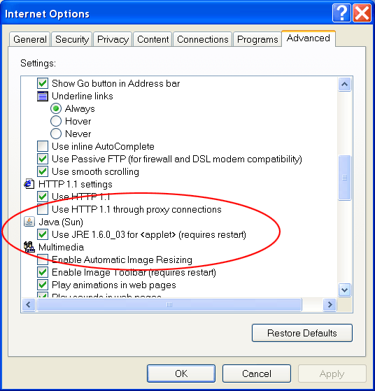 how to enable java script internet explorer