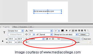 Flash Hyperlink field Flash Hyperlink field