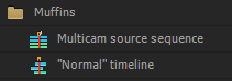 multicam source sequence in the project panel