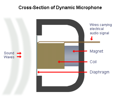 Cross Section of a Dynamic Microphone