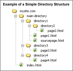 Directory Tree