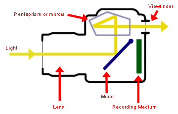SLR Camera Diagram