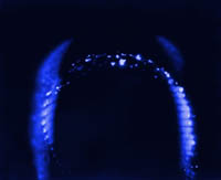 Example of a Kirlian photograph