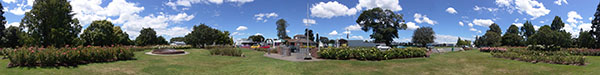 Rose garden panorama