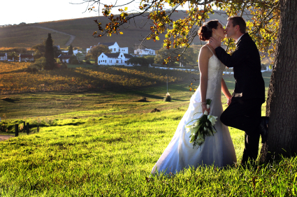 Wedding Photo