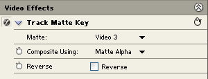 Track Matte Key Options (in the Effects window)